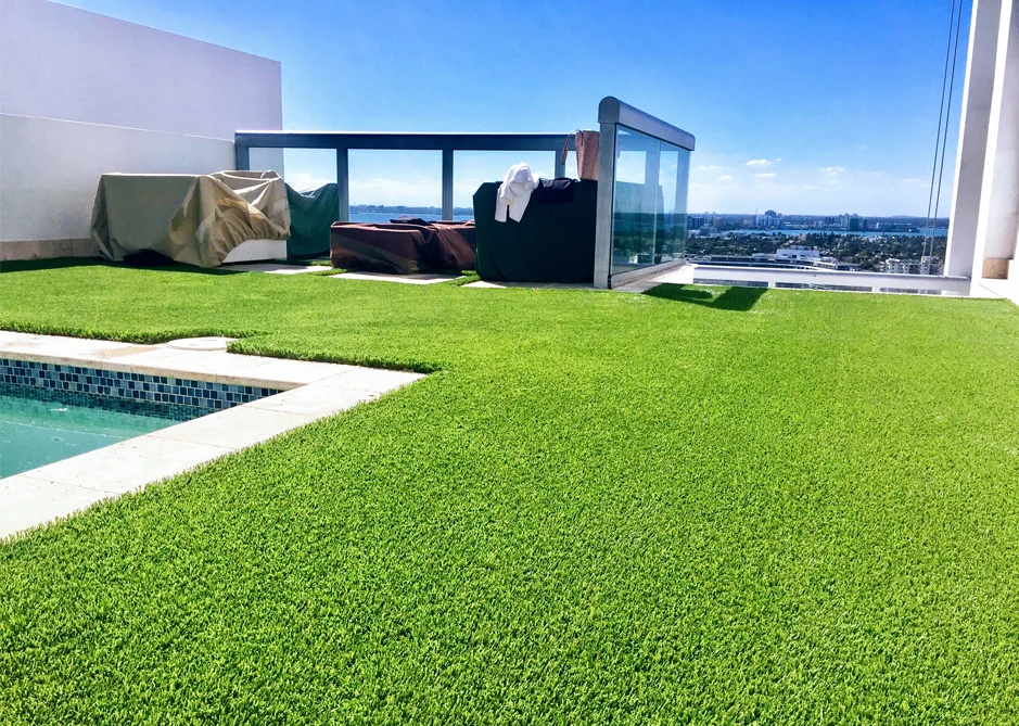 exhibiton grass
